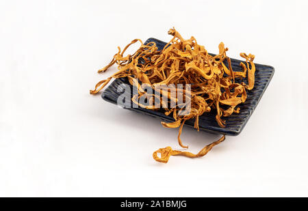 Groupe de Cordyceps militaris séché sur fond blanc Banque D'Images