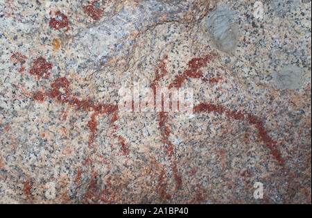 Schéma de l'intérieur de peintures préhistoriques au bloc de granite Monument Naturel de los Barruecos, Estrémadure, Espagne. En forme de branche peinture représentant un ho Banque D'Images