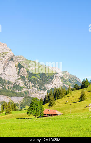 Paysage alpin vert près de Kandersteg en Suisse capturé dans la saison estivale. Prairies, collines rocheuses. Alpes Suisses, des rochers et des montagnes. Un sentier menant au lac Oeschinensee, photo verticale. Banque D'Images