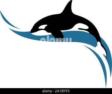 Killer whale, illustration, vecteur sur fond blanc. Illustration de Vecteur