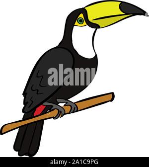 Oiseau Toucan, illustration, vecteur sur fond blanc. Illustration de Vecteur