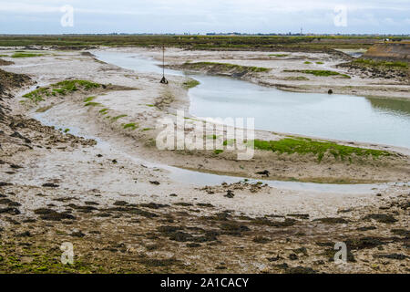 Paysage de l'île de Ré dans l'île de France Banque D'Images