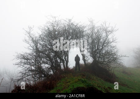 Un homme cagoulé se profilant sous une voûte d'arbres sauvages sur un moody, brumeuse, winters day. Banque D'Images