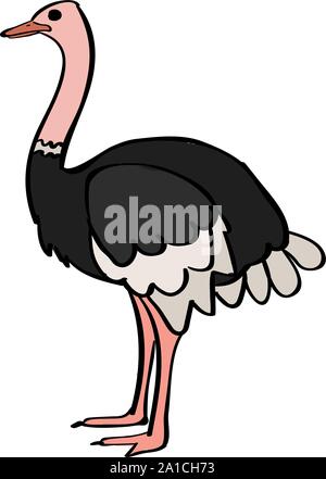 L'autruche, l'illustration, vecteur sur fond blanc. Illustration de Vecteur