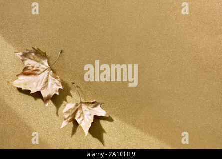 Mise à plat de l'automne avec les feuilles d'or peint et copy-space sur papier doré étincelant. Vue supérieure avec la lumière et les ombres. Banque D'Images