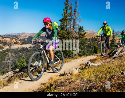 Les vététistes sur la célèbre Monarch Crest Trail, le long de la ligne de partage dans le Colorado, équitation dans une levée de fonds pour l'Alliance contre la Banque D'Images