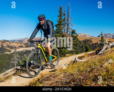 Les vététistes sur la célèbre Monarch Crest Trail, le long de la ligne de partage dans le Colorado, équitation dans une levée de fonds pour l'Alliance contre la Banque D'Images