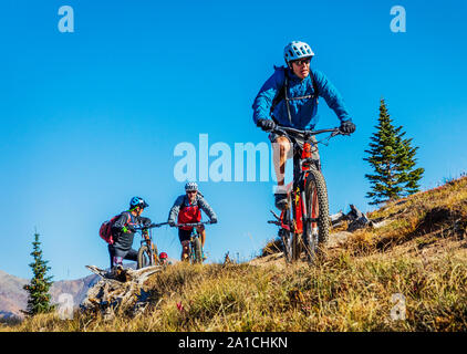 Les vététistes sur la célèbre Monarch Crest Trail, le long de la ligne de partage dans le Colorado, équitation dans une levée de fonds pour l'Alliance contre la Banque D'Images