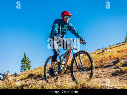 Les vététistes sur la célèbre Monarch Crest Trail, le long de la ligne de partage dans le Colorado, équitation dans une levée de fonds pour l'Alliance contre la Banque D'Images