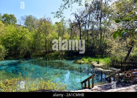 Ichetucknee Springs State Park, en Floride, USA est hors des sentiers battus et un endroit populaire pour tube, kayak et autres sports nautiques. Banque D'Images