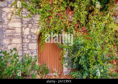 Vue sur la rue d'une vieille maison en pierre entrée en Provence, France, où un vintage round top porte et mur sont partiellement couvertes par de jolies plantes grimpantes Banque D'Images