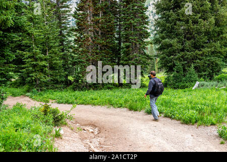 Albion, bassin d'été de l'Utah en 2019 sentier saison dans les montagnes Wasatch avec man walking portant caméra cardan Banque D'Images