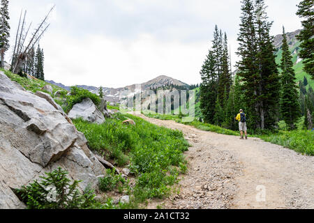 Alta, USA - Le 26 juillet 2019 : Albion Bassin, sentier de l'Utah dans la saison des fleurs sauvages dans les montagnes Wasatch avec road et man walking Banque D'Images
