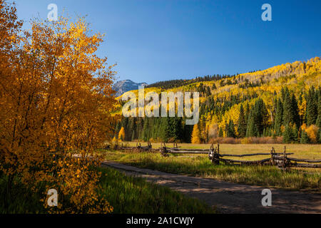 Les trembles et de clôture en automne, la route de comté 9, Sneffels Range, montagnes de San Juan, au Colorado Banque D'Images