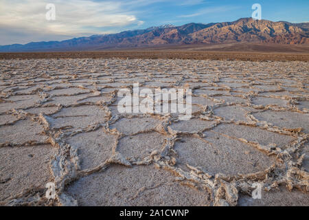 Les modèles polygonaux, Badwater Basin, Death Valley National Park, Californie Banque D'Images