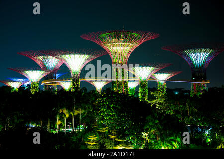 Gardens by the Bay - Singapour Banque D'Images