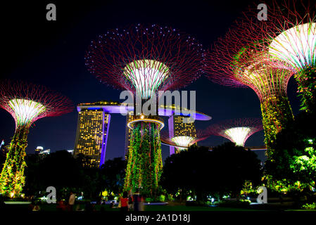 Gardens by the Bay - Singapour Banque D'Images