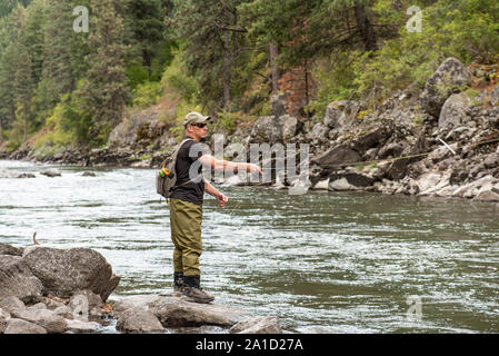 Fly fisherman casting dans le ruisseau de montagne pendant la saison d'automne. Banque D'Images
