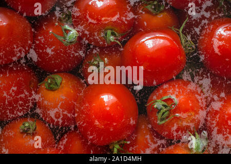 De nombreuses tomates trempées dans l'eau avec des bulles photographié d'en haut Banque D'Images