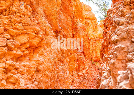 Gros plan abstrait de couleur orange mur falaise formations au Queens Garden Trail Boucle Navajo à Bryce Canyon National Park en Utah avec texture Banque D'Images