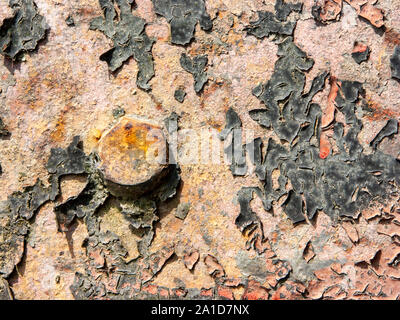 Détail Type d'antique panneau métallique d'une maison de campagne italienne, en fer avec de la rouille, peinture craquelée et vis rouillées détail. Banque D'Images