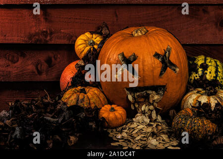 Affichage de citrouille Halloween Banque D'Images