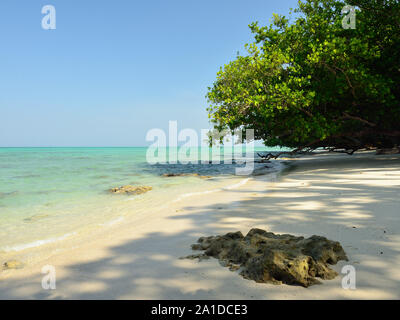 Plage vierge sur l'île d'Havelock les îles Andaman et Nicobar, Inde Banque D'Images