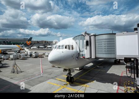 Boeing 767-300 Condor avec pont de passagers, l'aéroport de Francfort sur le Main, Hesse, Allemagne Banque D'Images