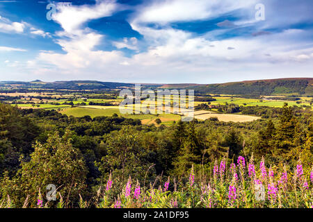 Vue de Claybank, North Yorkshire Moors, l'Angleterre, shérif devient Banque D'Images