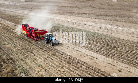 Les agriculteurs de pommes de terre récoltés haut voir la photographie aérienne avec drone Banque D'Images