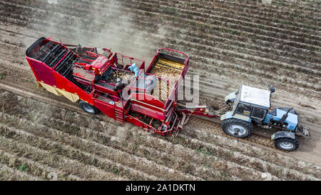 Les agriculteurs de pommes de terre récoltés haut voir la photographie aérienne avec drone Banque D'Images