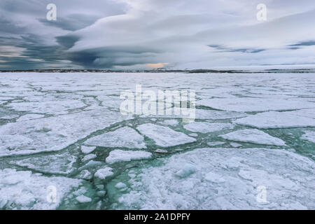 La banquise, Bjornsundet, île du Spitzberg, archipel du Svalbard, Norvège Banque D'Images