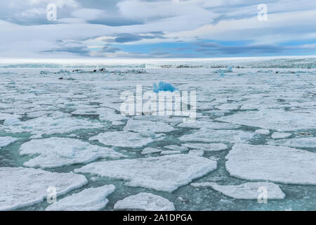 La banquise, Bjornsundet, île du Spitzberg, archipel du Svalbard, Norvège Banque D'Images