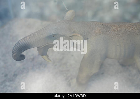 Un modèle miniature de Deinotherium, Dinotherium, birds eye view Banque D'Images