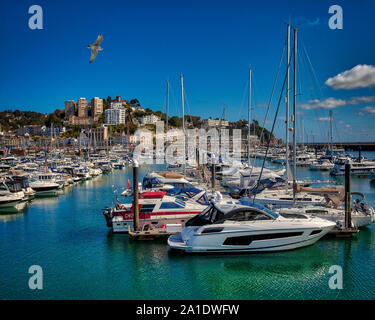 Fr - Torquay Devon : avant-port et de la ville (image HDR) Banque D'Images