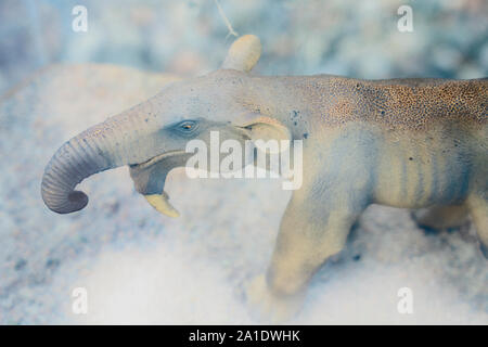 Un modèle miniature de Deinotherium, Dinotherium, birds eye view Banque D'Images