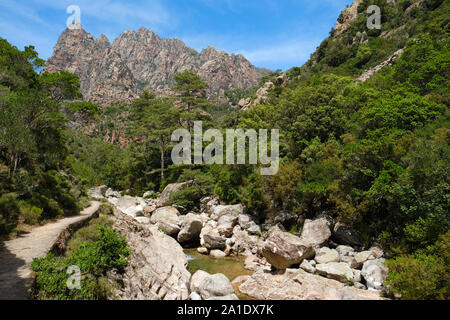 Capu Casconi et la vallée de Saint Christophe Saint Christophe / stream valley trail partie de la Spelunca Gorge / gorges de Spelunca en Corse-du-Sud Corse France Ota Banque D'Images