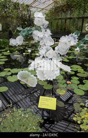 Dale Chihuly Persan blanc éthéré de la sculpture dans l'Étang Chambre nénuphar à Kew Gardens, London, UK Banque D'Images