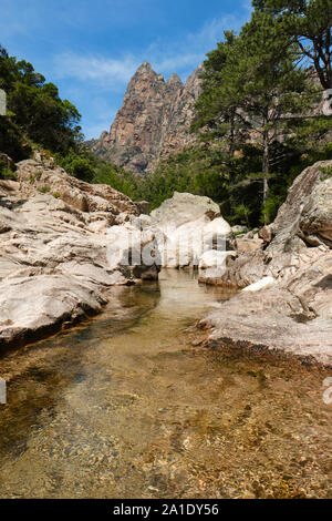 Capu Casconi et vallée de Saint Christophe / Saint Christophe ruisseau de montagne Paysage et piscine naturelle gorges de Spelunca / gorges de Spelunca, Ota Corse France Banque D'Images