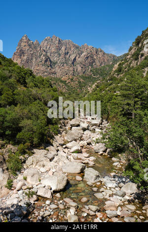 Capu Casconi et la vallée de Saint Christophe Saint Christophe / stream valley trail partie de la Spelunca Gorge / gorges de Spelunca en Corse-du-Sud Corse France Ota Banque D'Images