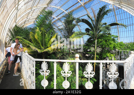 A l'étage Galerie dans la Palm House, à Kew Gardens, dans le sud ouest de Londres, Royaume-Uni Banque D'Images