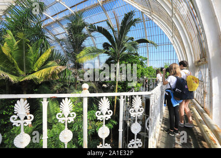 A l'étage Galerie dans la Palm House, à Kew Gardens, dans le sud ouest de Londres, Royaume-Uni Banque D'Images