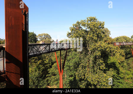 Le Treetop Walkway, Xstrata dans le soleil d'automne, à Kew Gardens, dans le sud-ouest de l'Angleterre, Royaume-Uni Banque D'Images