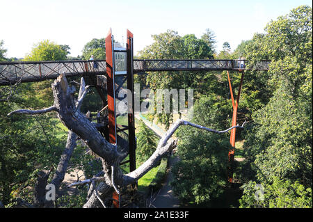 Le Treetop Walkway, Xstrata dans le soleil d'automne, à Kew Gardens, dans le sud-ouest de l'Angleterre, Royaume-Uni Banque D'Images