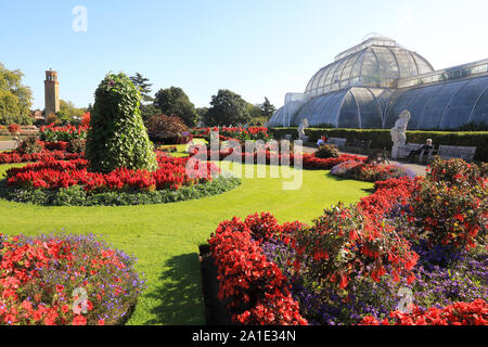 Kew Garden est assez de fleurs en face de la Palm House, à l'automne, soleil dans le sud ouest de Londres, Royaume-Uni Banque D'Images