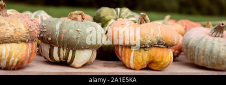 Bannière, Pattypan citrouilles squash colorés sur table en bois, marché à la ferme a vendre Banque D'Images