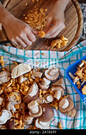 Flatlay, femme, c'est le bolet et girolles à la maison ou dans la cuisine Banque D'Images