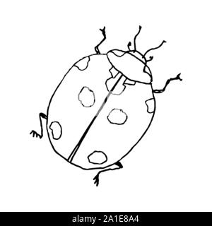 Lady bug. Art en ligne doodle croquis. Contour noir sur fond blanc. Photo peut être utilisé dans les cartes de vœux, affiches, flyers, bannières, logo, conception botanique etc. Vector illustration. EPS10 Illustration de Vecteur