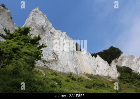 La spectaculaire white Mons Klint le Danemark. De 6 km des falaises de craie le long de la côte orientale de l'île danoise de Møn dans la mer Baltique. Banque D'Images