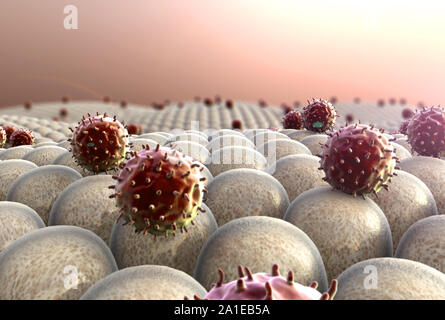 Domaine de cellules, les virus attaquent les cellules, action du système immunitaire humain Banque D'Images